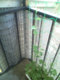 20110714074409.jpg