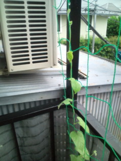 20110720065857.jpg