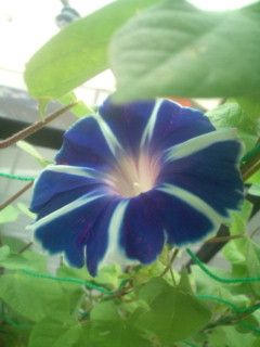 20110814081658.jpg