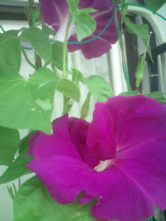 20110814081752.jpg