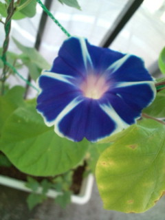 20110816072703.jpg