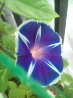 20110817071236.jpg