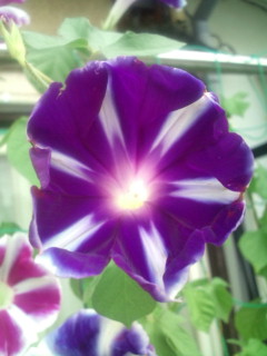 20110819081854.jpg