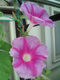 20110820070039.jpg