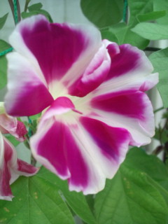 20110820065800.jpg