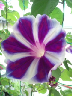20110820065817.jpg
