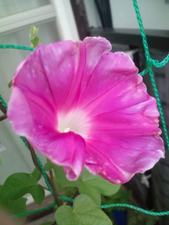 20110820065947.jpg