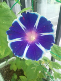 20110821092450.jpg