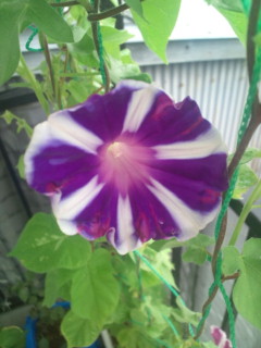 20110821092618.jpg