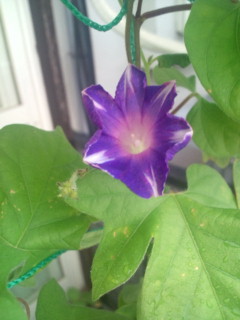 20110821092821.jpg