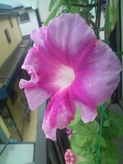 20110821092855.jpg