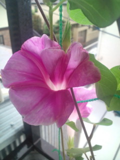 20110821092919.jpg