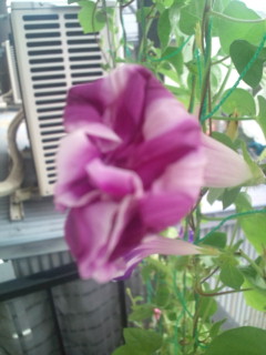 20110821093052.jpg