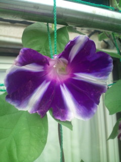 20110821093111.jpg