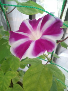 20110824074315.jpg