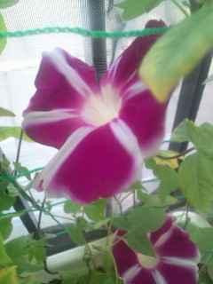 20110826070053.jpg