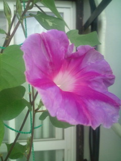 20110826070616.jpg