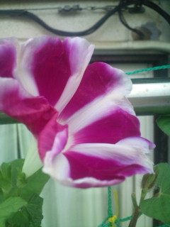 20110827080000.jpg