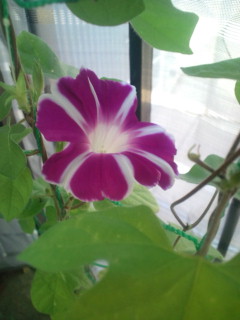 20110828070829.jpg