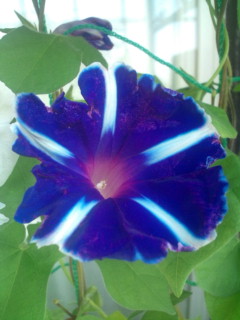 20110828070953.jpg