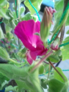 20110831063139.jpg