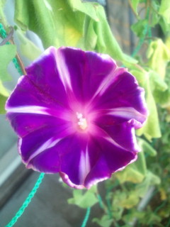 20110831063222.jpg