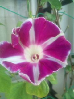 20110914074529.jpg