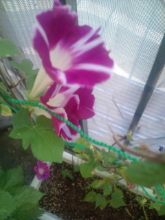 20110915074250.jpg