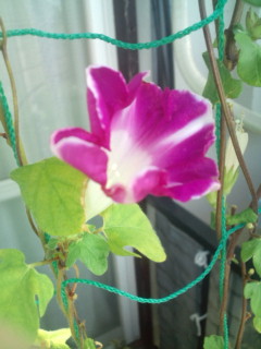 20110916070932.jpg