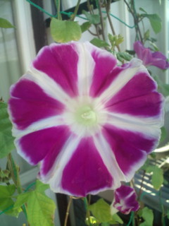 20110916070953.jpg