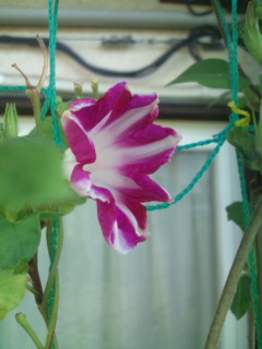 20110916071033.jpg