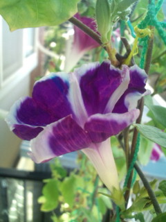 20110916071104.jpg