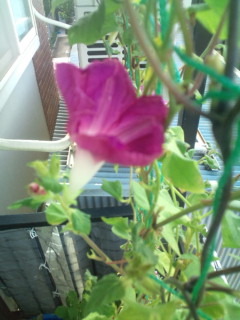 20110916071123.jpg