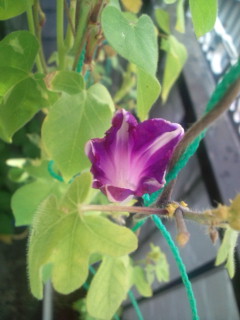 20110917071920.jpg