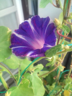 20110917072017.jpg