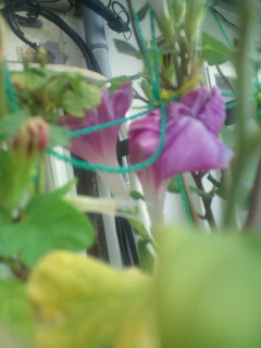 20110917072549.jpg