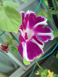 20110919075409.jpg