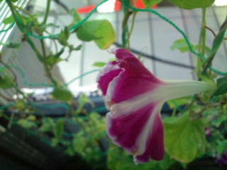 20110919075623.jpg