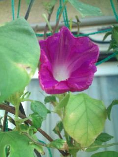 20110919075743.jpg