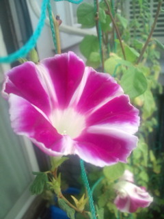 20110920073613.jpg