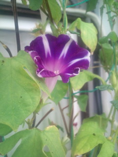 20110920073719.jpg