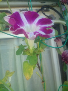 20110918075436.jpg