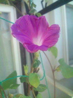 20110918075420.jpg
