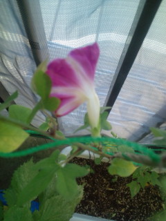 20110922074159.jpg