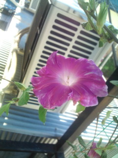 20110922074329.jpg