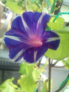 20110925080931.jpg