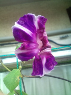 20110925080951.jpg