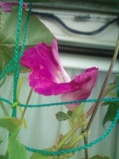 20110925081119.jpg