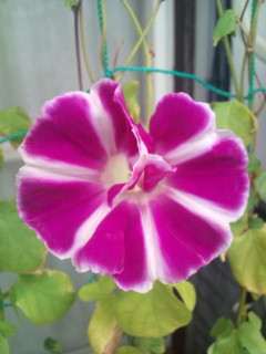 20110927072122.jpg