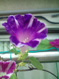 20110927072303.jpg